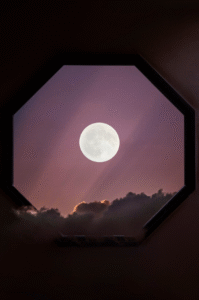 Moon Freedom Japanese Market
