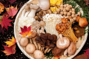 Mushrooms Freedom Japanese Market